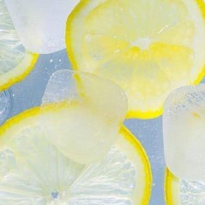 Meet your Posher, Sophia